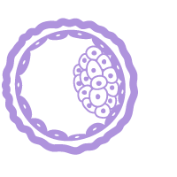 Test Image