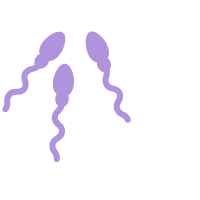 Test Image