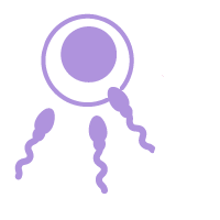 Test Image